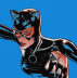 selina kyle.