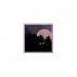 ✦˖⁺.