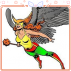 Mulher-Gavi&atilde;o - Shayera Holl
