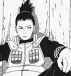 shikamaru.
