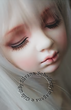 ❥ SiL Scheifer ❥‿↗⁀♥