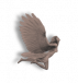 ⋆⁺‧₊☽◯☾₊‧⁺⋆