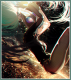     sona.