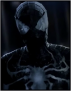 SPIDER-MAN.