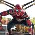  steelspider