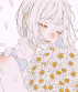 sypha.