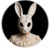 ɑcid bunny.