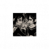 💀🩸🪦🗡️⚰️.