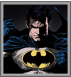 BRUCE WAYNE