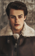 ford pines