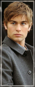 ◈ Theo Frezzi Jr