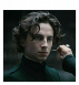 Regulus Black.