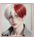 Shoto Todoroki