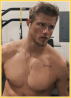 HVITSERK