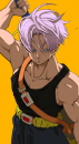 Trunks
