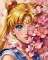 Tsukino Sailor Moon