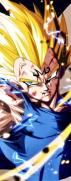  サイヤ人の王子 VEGETA
