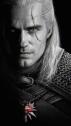 ㅤ WHITE WOLF ⋙ ㅤㅤㅤGeralt