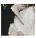 Wildest Dream(s).