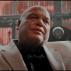 wilsonfisk