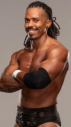 WWE ® Local Competitor