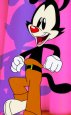 Yakko Warner