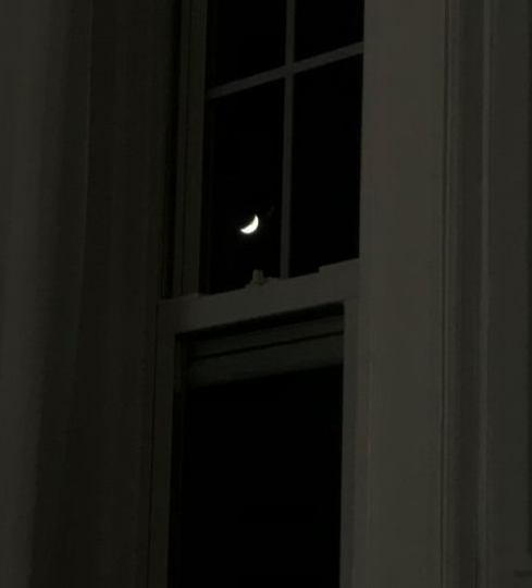 under a glass moon