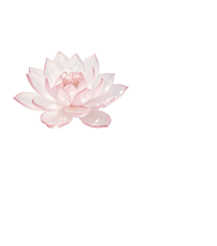 𝘛𝘩𝘦 ఌ𝘳𝘤𝘩𝘦𝘳.