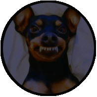 ›o·pinscher