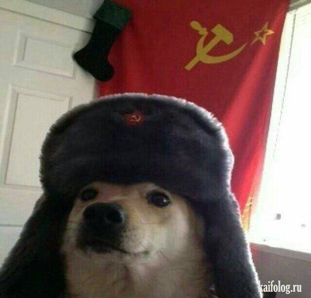 ☭