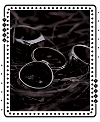 ᴛʜᴇ ᴄᴀᴏs ✡