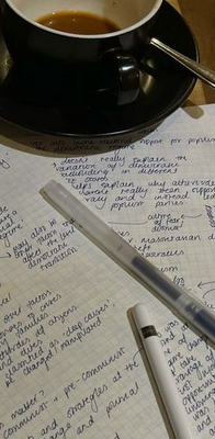 ˹∙ run, little lamb