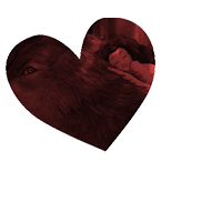 &emsp;&emsp;𝒊𝒔 𝒅𝒊𝒇𝒇𝒆𝒓𝒆𝒏𝒕 ❤