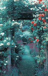 A thousand gardens