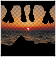 ᴅᴏɴ'ᴛ ɢᴏ ʙʀᴇᴀᴋɪɴɢ ᴍʏ ʜᴇᴀʀᴛ