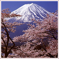 nihon no shiki