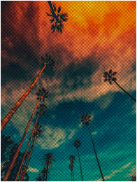 「UNTILL WE FIND A WAY」