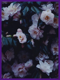 ʟᴏɴɢ, ʟᴏɴɢ ᴛɪᴍᴇ...