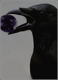 ғᴏʀᴛɴɪɢʜᴛ