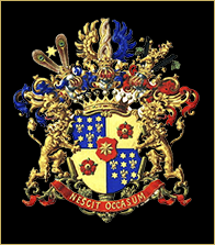 𝐓𝐡𝐞 𝐕𝐨𝐧 𝐔𝐧𝐠𝐞𝐫𝐧-𝐒𝐭𝐞𝐫𝐧𝐛𝐞𝐫𝐠.