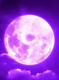 ­   ­