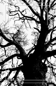 ~  Blackwood 