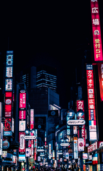 輩