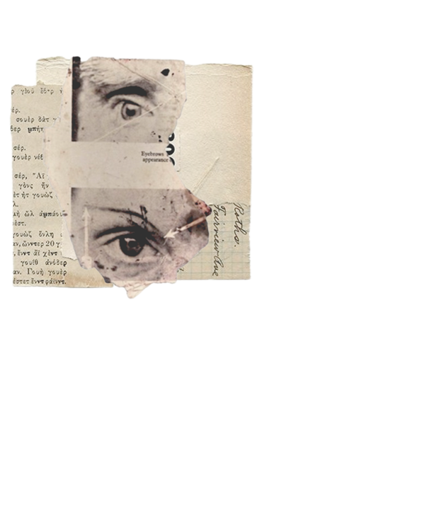 O Estudante de humanidades: Contos, poesias & cr&ocirc;nicas bardorescas.