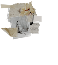 🐆 ‧ quatrɩ&egrave;me hɩstoɩre.