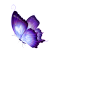𝔅utterflies ʚɞ✧˖