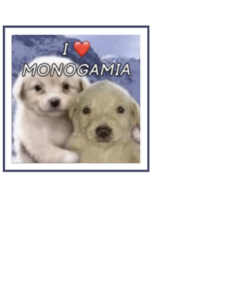 I LOVE MONOGAMIA