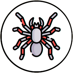 Spider&reg;