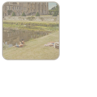 𝒫𝑅𝐼𝑀𝑅𝒪𝒮𝐸