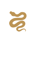 Archet&psi;pe∶ Medusa.